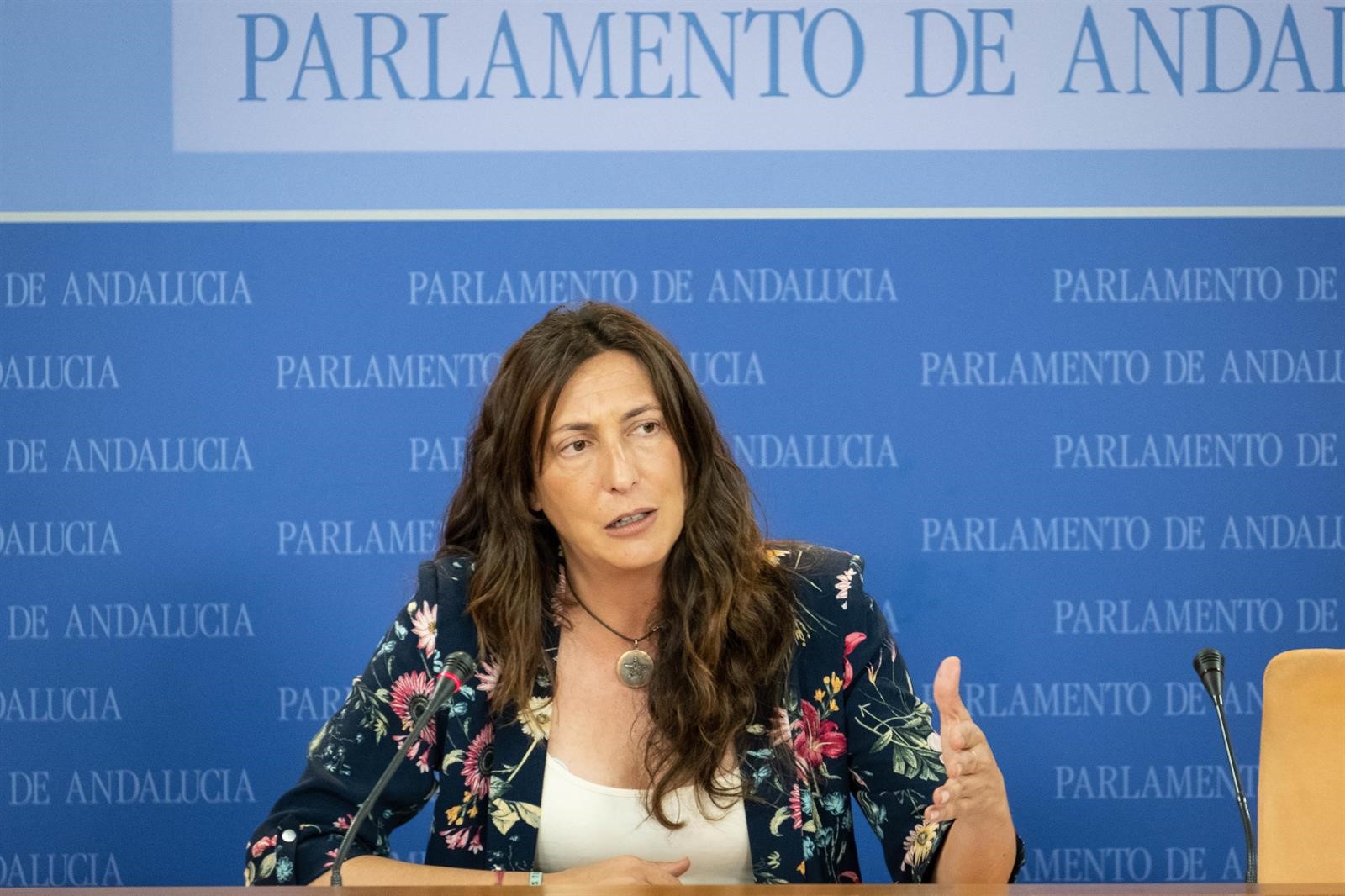 El PP-A señala que continúan las negociaciones en Granada y en Madrid buscando la «gobernabilidad»