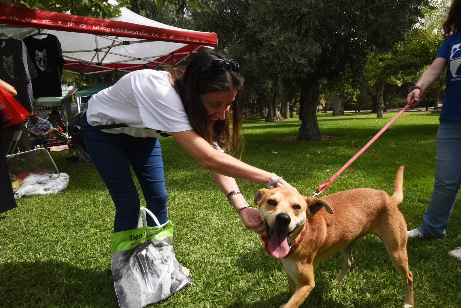 Gran éxito durante la Feria de Adopción de animales celebrada en la ciudad deportiva de Diputación
