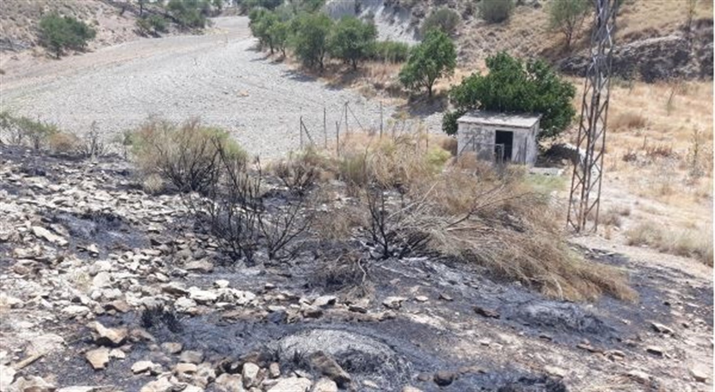 Toman declaración al presunto autor del incendio forestal del pasado julio en Morelábor