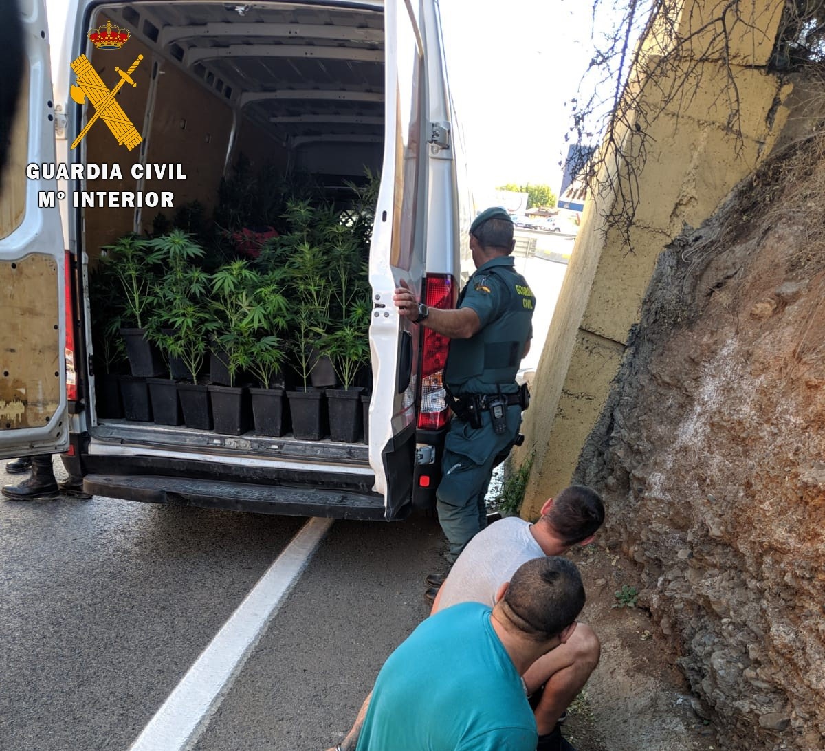 Tres detenidos tras ser sorprendidos en una furgoneta que transportaba 463 plantas de marihuana