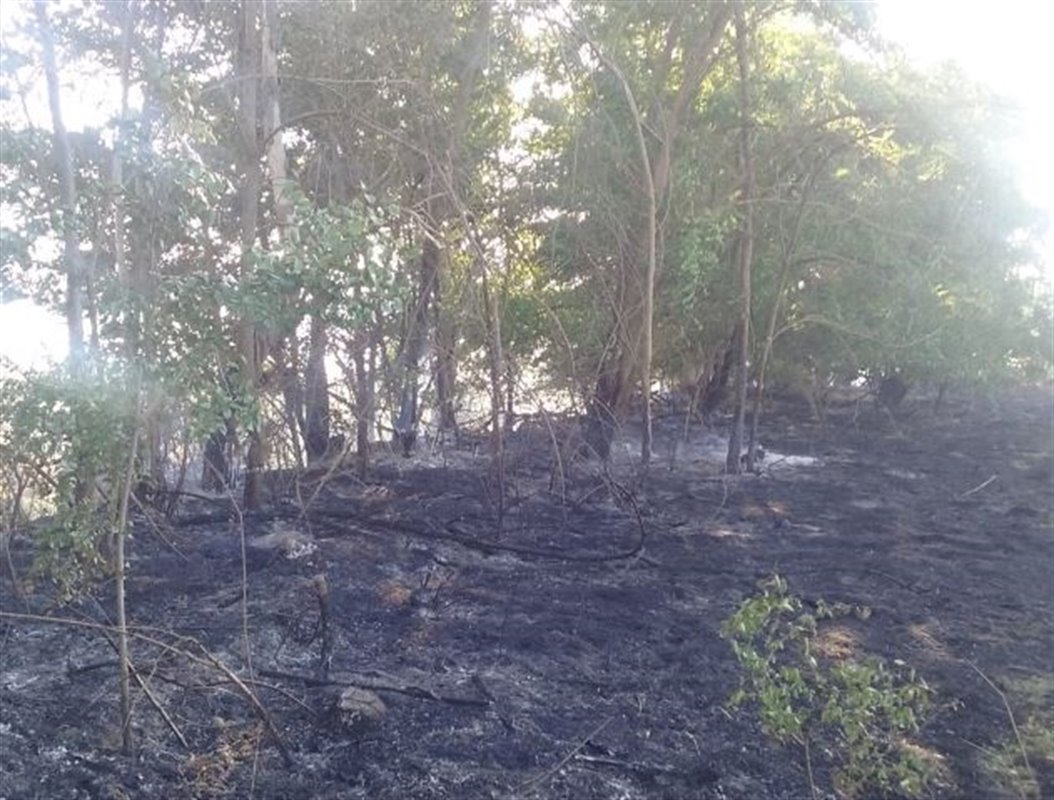 Un investigado por provocar un incendio forestal en Purullena