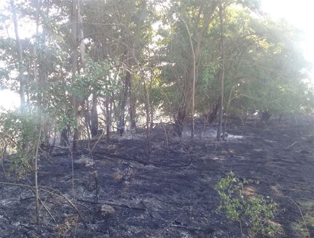 Un investigado por provocar un incendio forestal en Purullena