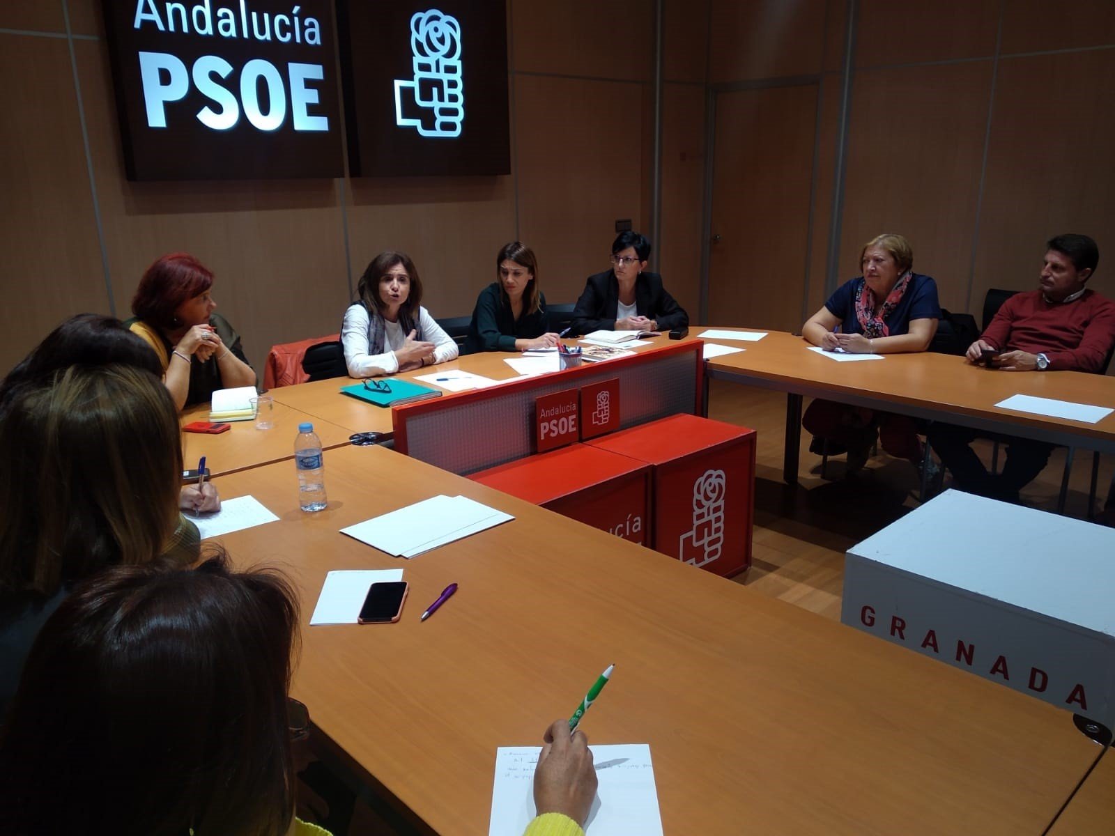 #10N El PSOE promoverá mociones para que las parejas de hecho tengan garantizadas sus pensiones de viudedad