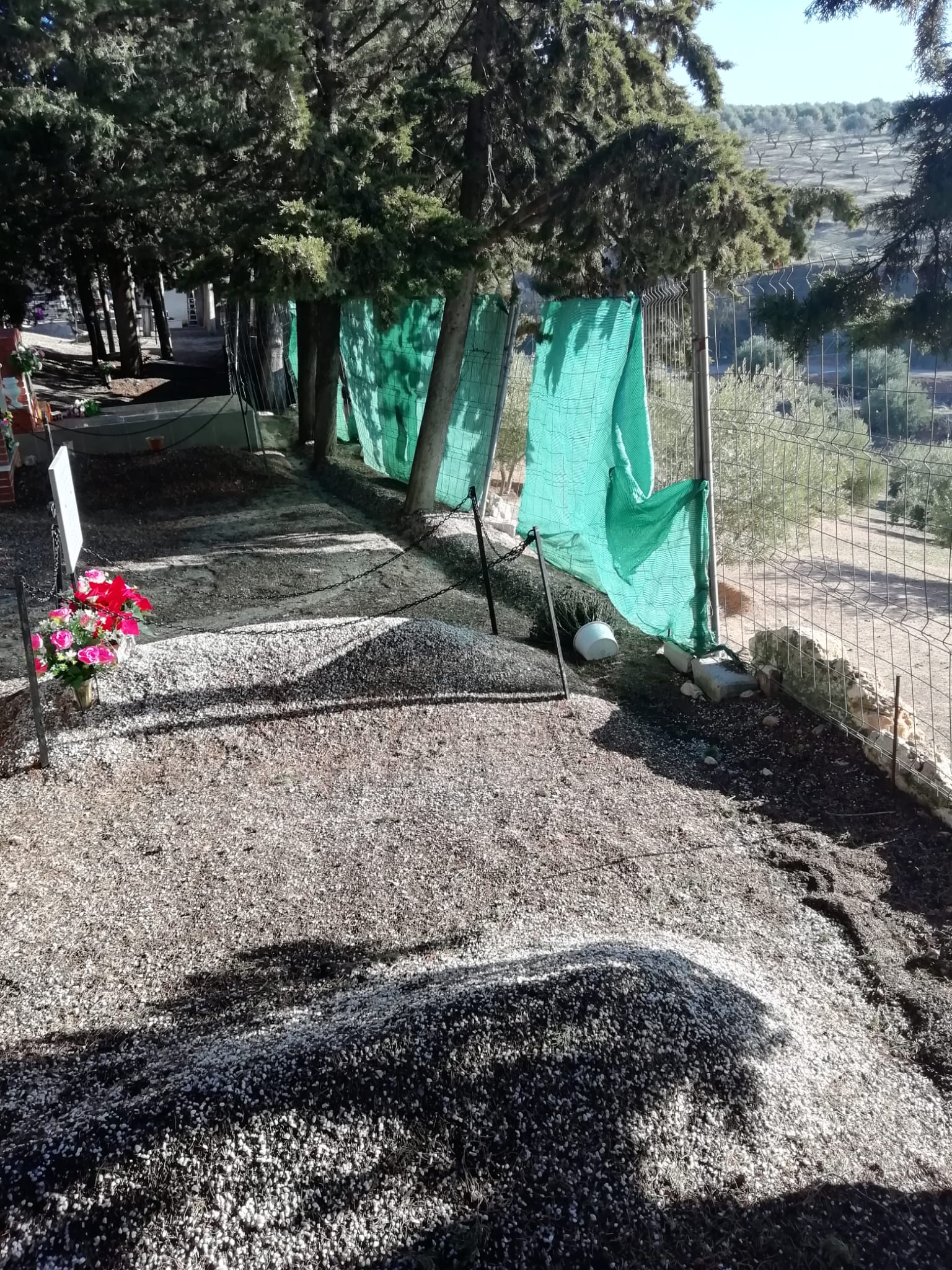 Ciudadanos Íllora rechaza la privatización de la gestión de los cementerios del municipio