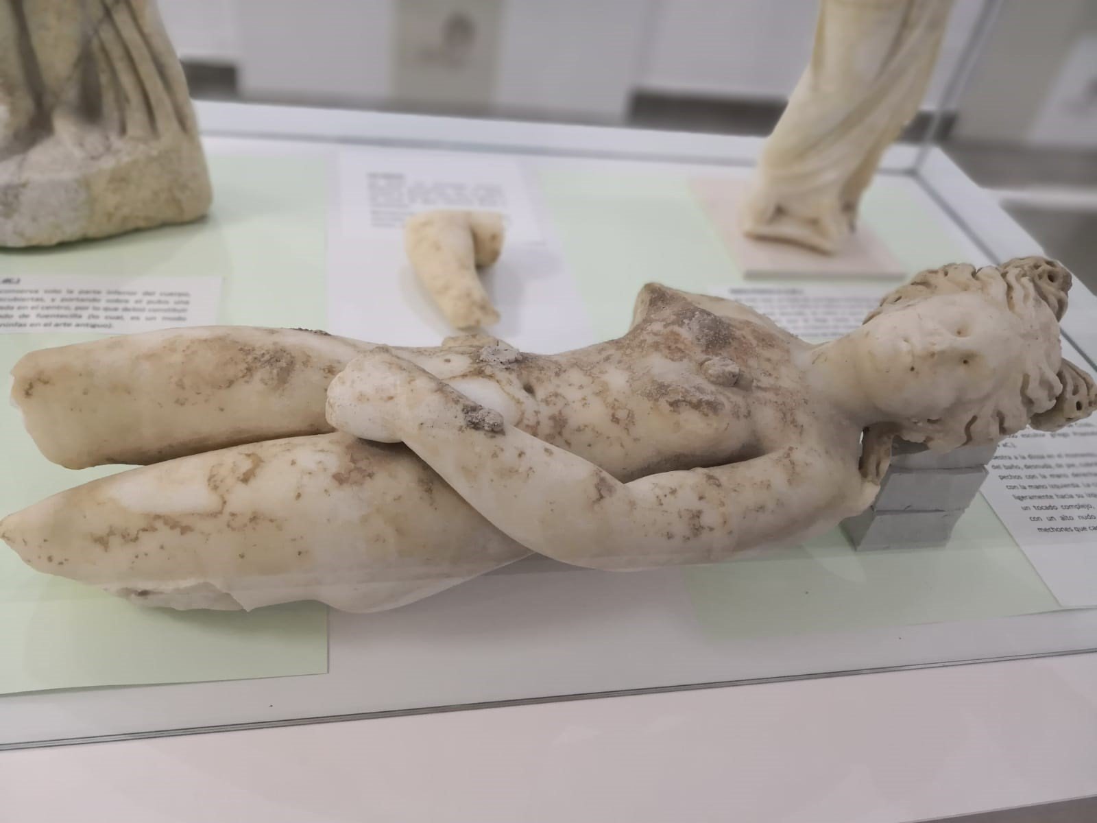 Las dos venus halladas en la Villa Romana de Salar ya se encuentran en el Museo Arqueológico