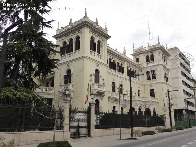 El Ayuntamiento de Motril trasladó a los inmigrantes argelinos hasta la puerta de Subdelegación