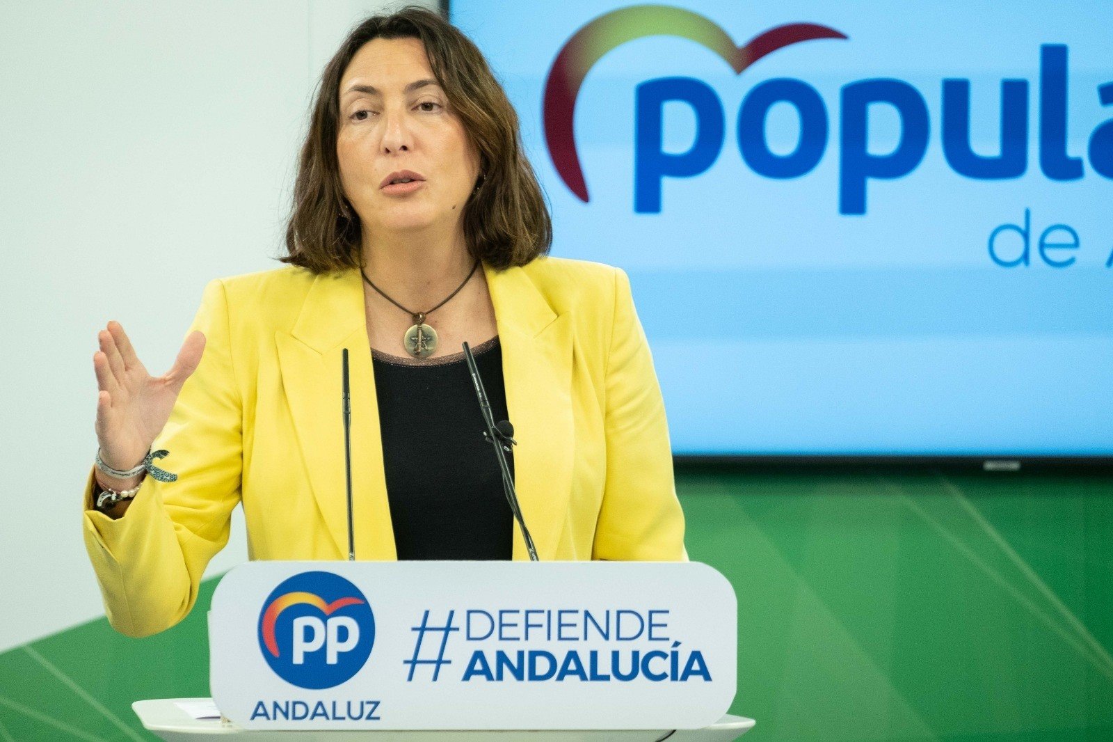 López lamenta la elección de un «alcalde imputado» y descarta que la ruptura local de PP y Cs afecte a la Junta
