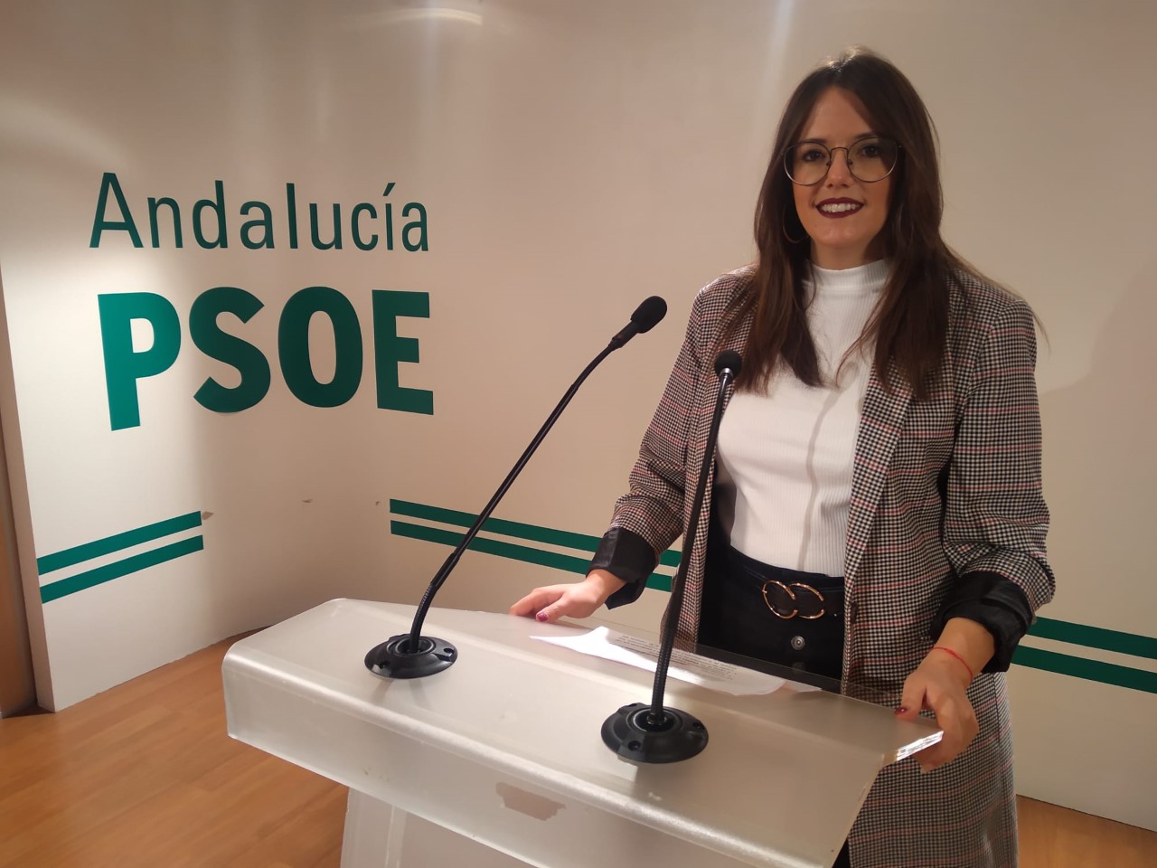 El PSOE reclama al consejero Imbroda “celeridad” para reestablecer el servicio de matriculación virtual