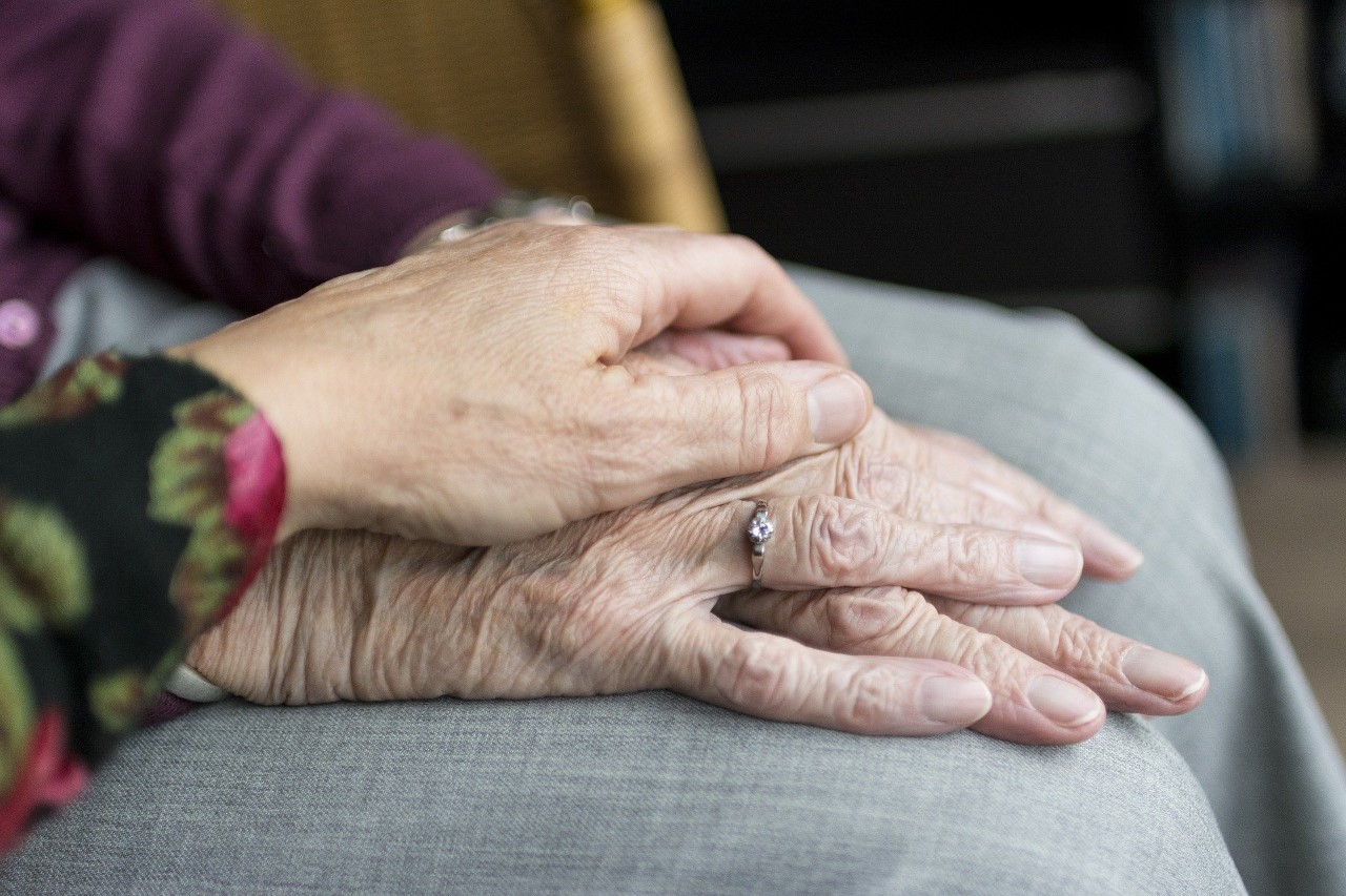 Los ancianos son los otros Los ancianos son los otros