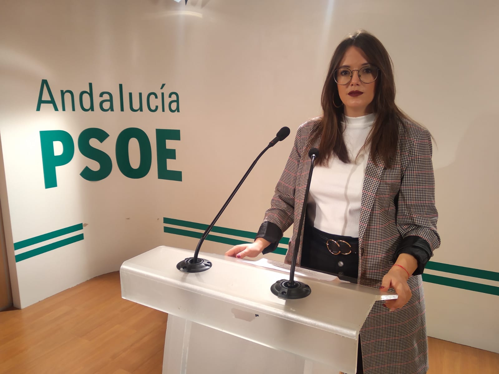 El PSOE pide a la Junta que “deje de mirar para otro lado” y dé soluciones a familias “sin medios” para seguir el curso a distancia