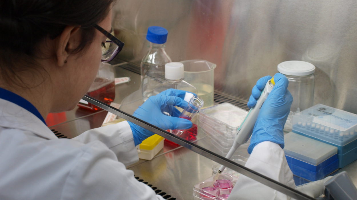 La UGR realiza el primer estudio centrado en la evolución del coronavirus dentro de las publicaciones científicas