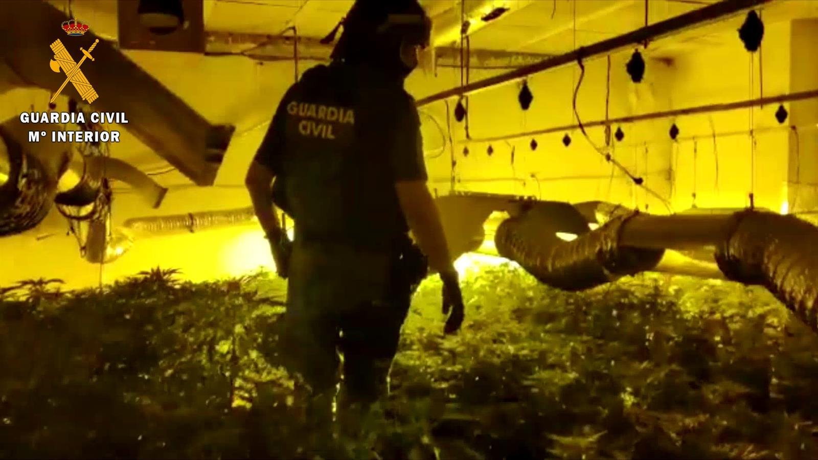 Hallan un centro de producción de marihuana debajo de los semisótanos de tres viviendas en Las Gabias