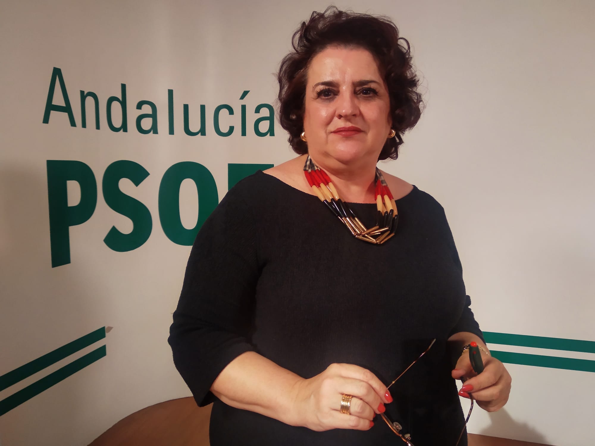 El PSOE pide a la Junta en el Parlamento que abra el proceso participativo relativo al proyecto del Paseo de Romayla El PSOE pide a la Junta en el Parlamento que abra el proceso participativo relativo al proyecto del Paseo de Romayla