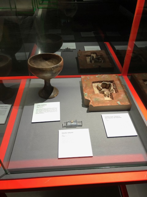 El museo MUNCYT reabre con una exposición que incluye a la investigación “Orígenes en el Altiplano granadino” de la UGR