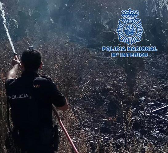 Detenido un pirómano tras incendiar un solar con rastrojos junto a viviendas