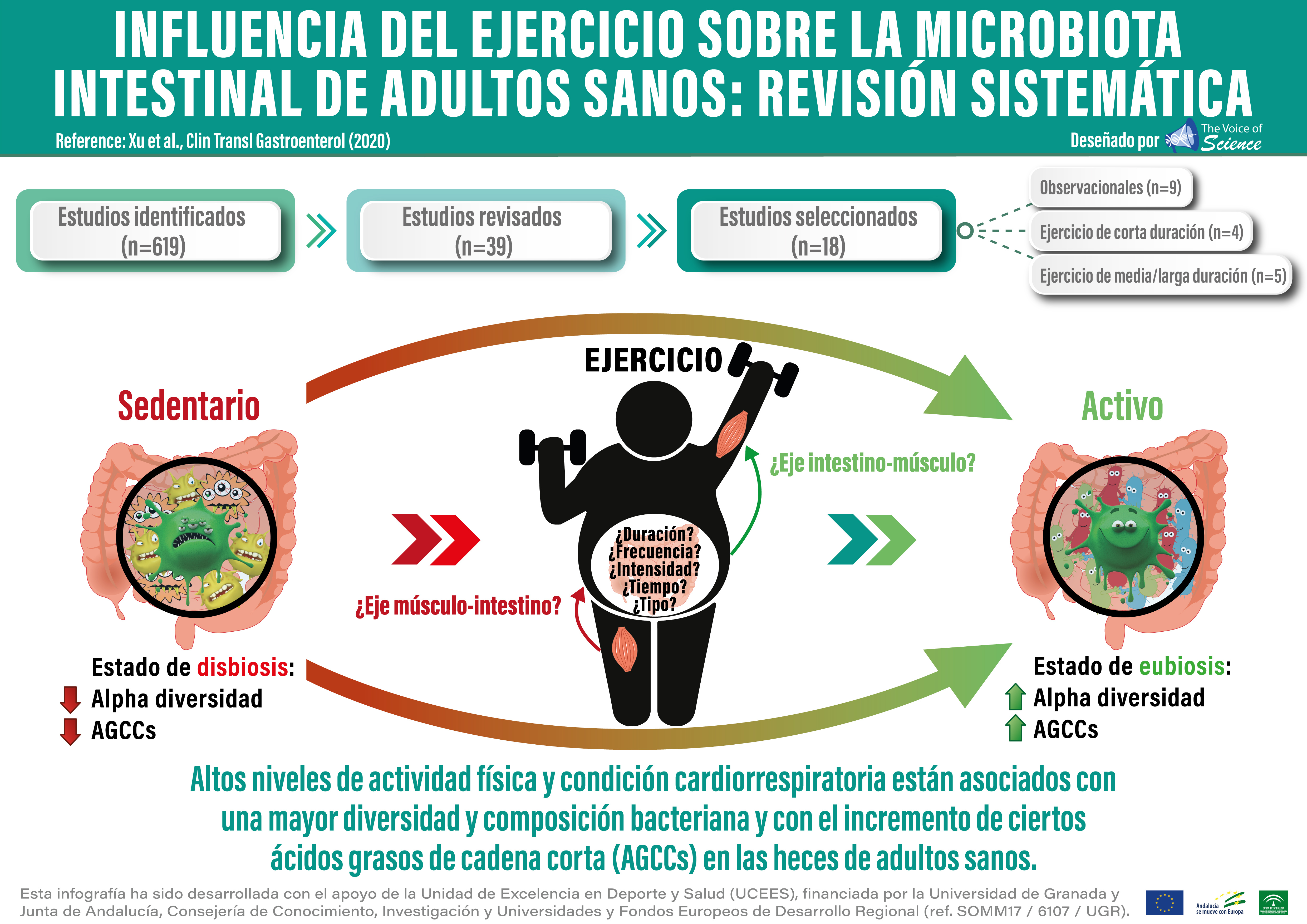 Un estudio de la Universidad de Granada señala que practicar ejercicio mejora la microbiota intestinal