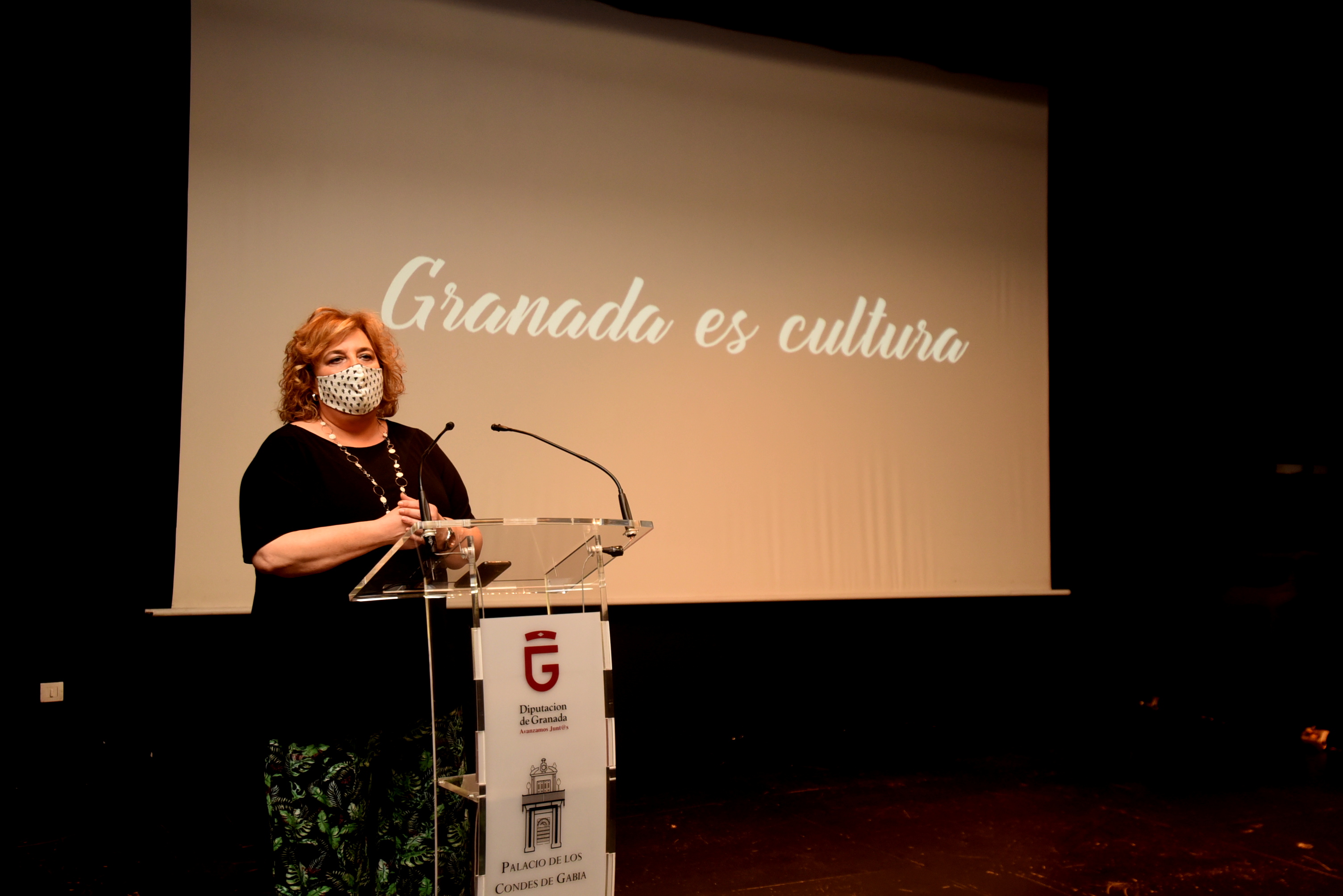 Diputación lanza una campaña de apoyo a la industria cultural granadina