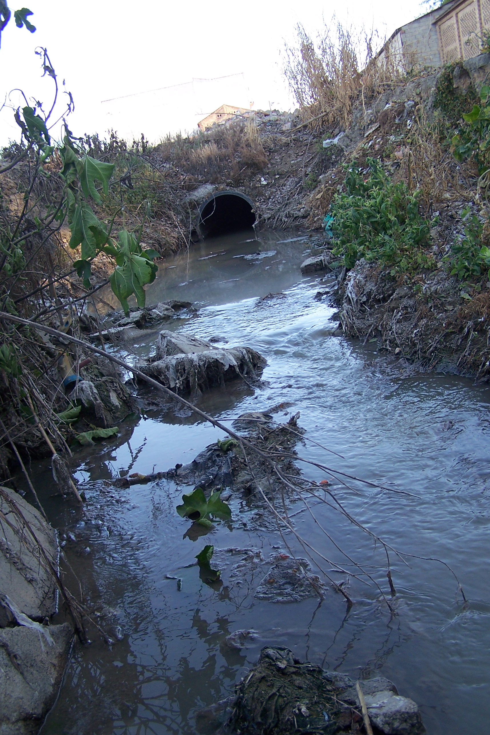 IU alerta que el 50 % de la población granadina vierte sus aguas residuales sin depurar