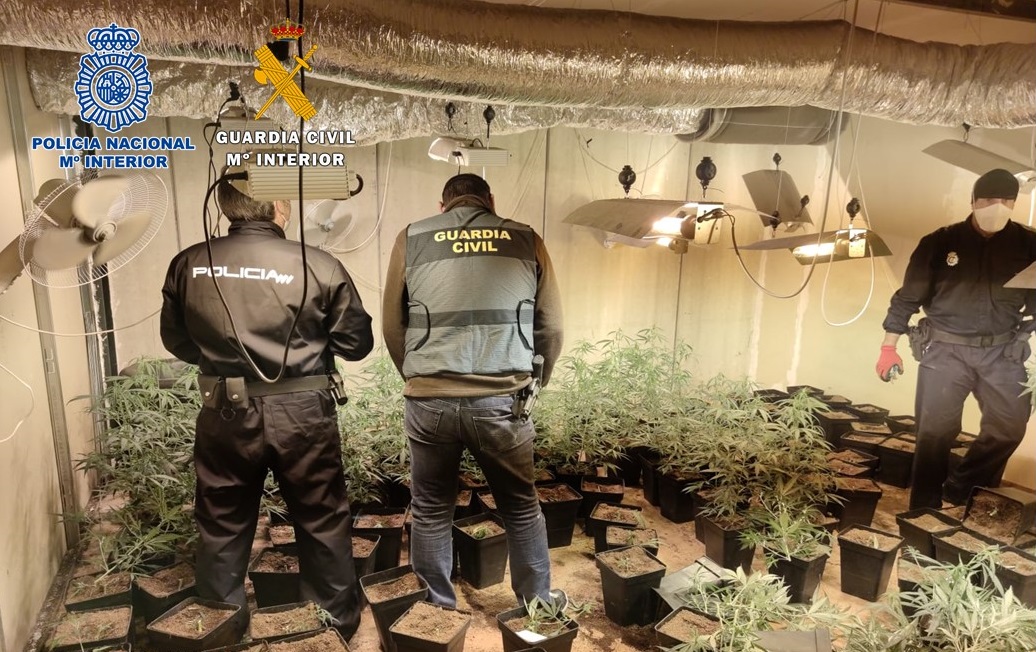 Intervienen 400 plantas de cannabis en dos naves del polígono Bobadilla de Granada
