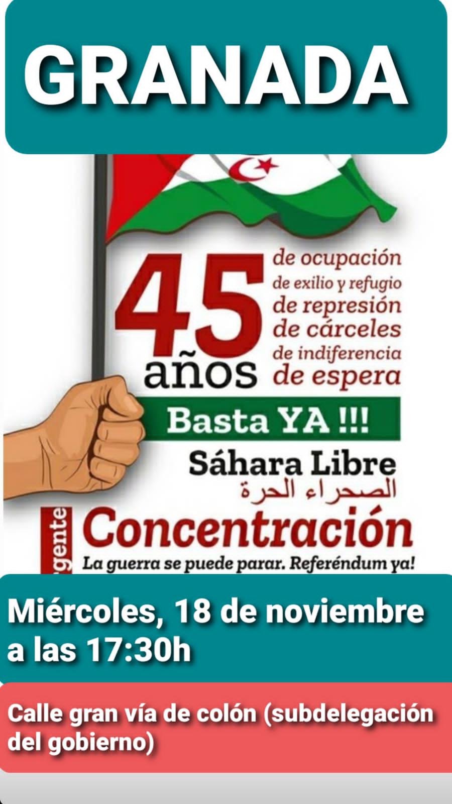 IU Granada organiza una concentración en apoyo al Pueblo Saharaui