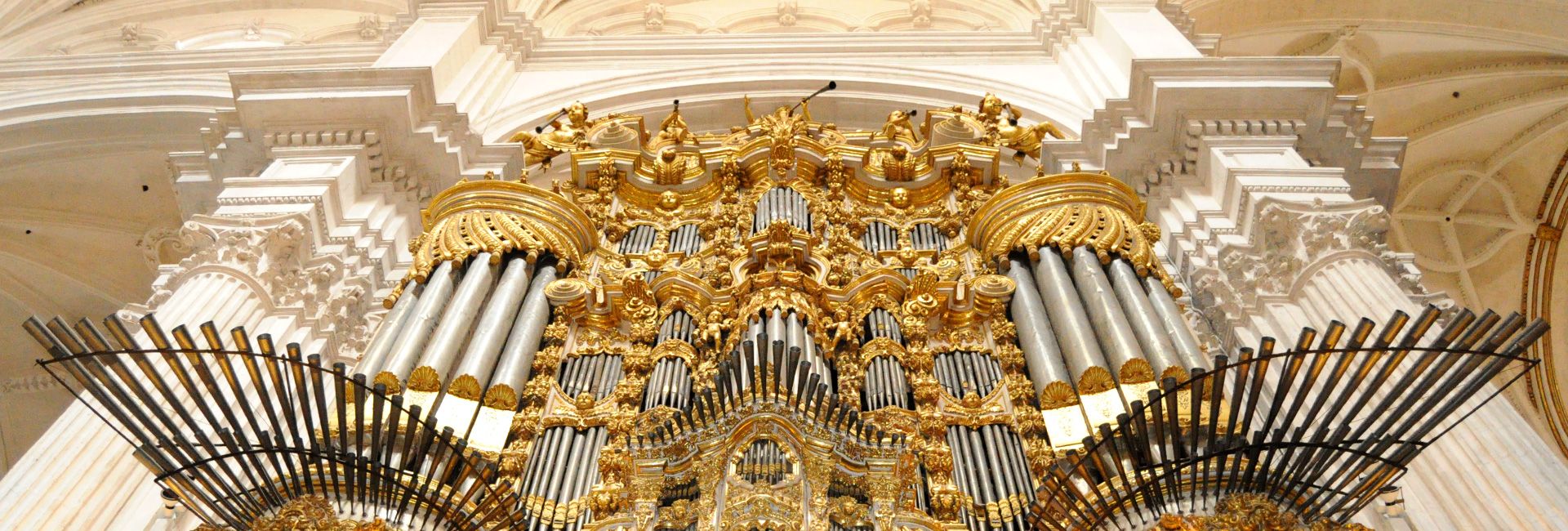 La Comisión Provincial de Patrimonio aprueba la restauración del órgano de la Epístola de la Catedral