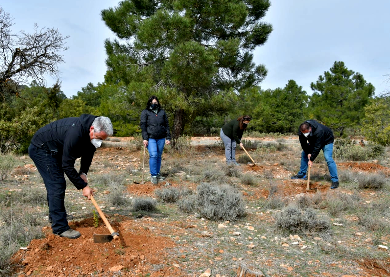 Desarrollo Sostenible conmemora el 28F con la plantación simbólica de especies autóctonas en Granada
