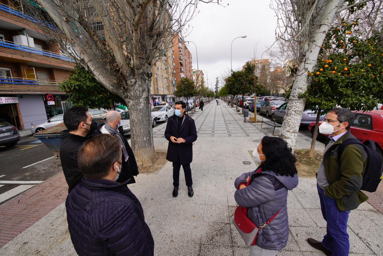 EL PSOE Exige a Salvador que paralice la tala de árboles de la calle primavera