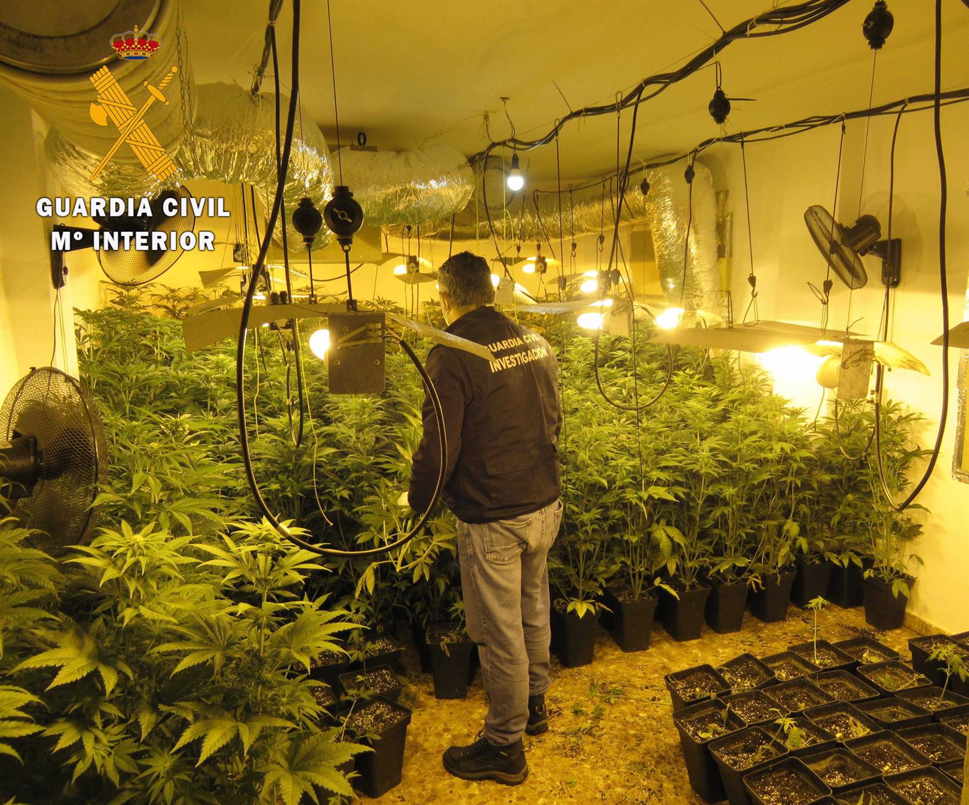 La Guardia Civil desarticula cuatro centros de producción de marihuana