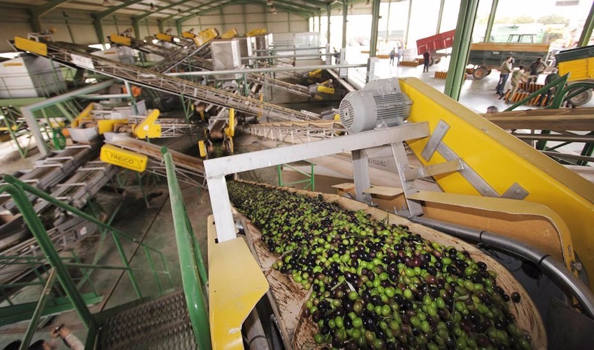 UPA-A destaca la «buena salud» del mercado del aceite de oliva con 863.000 toneladas vendidas en seis meses