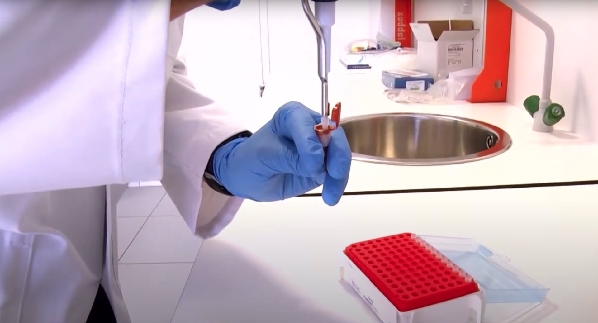 Crean un software capaz de detectar en minutos infecciones resistentes a antibióticos