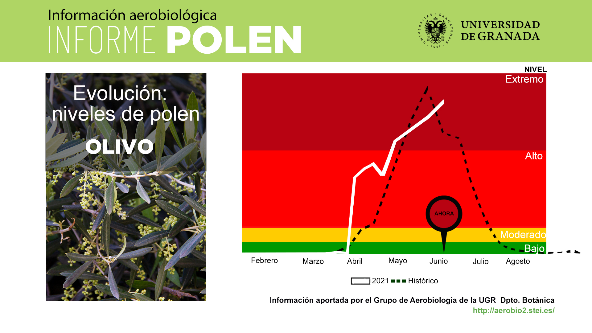 El impacto del polen se mantiene estable en la atmósfera de Granada