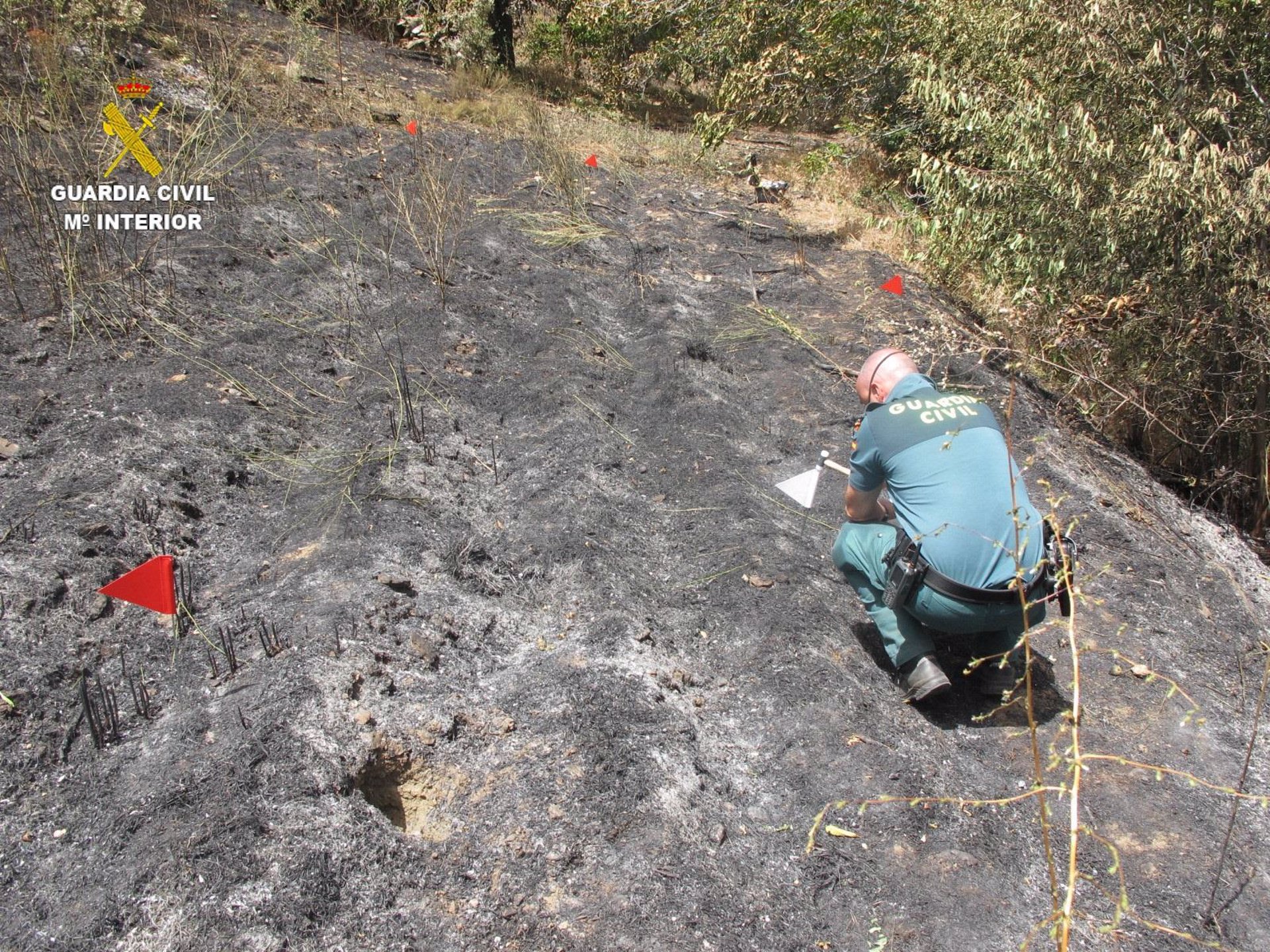 La Guardia Civil investiga a una persona por el incendio forestal en Güéjar Sierra
