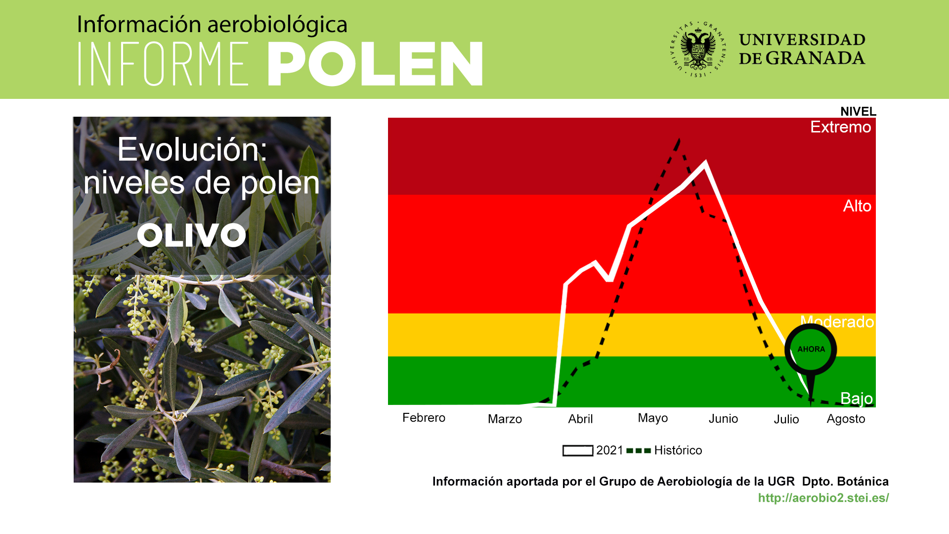 Agosto será un mes con bajo nivel de polen en la atmósfera de Granada