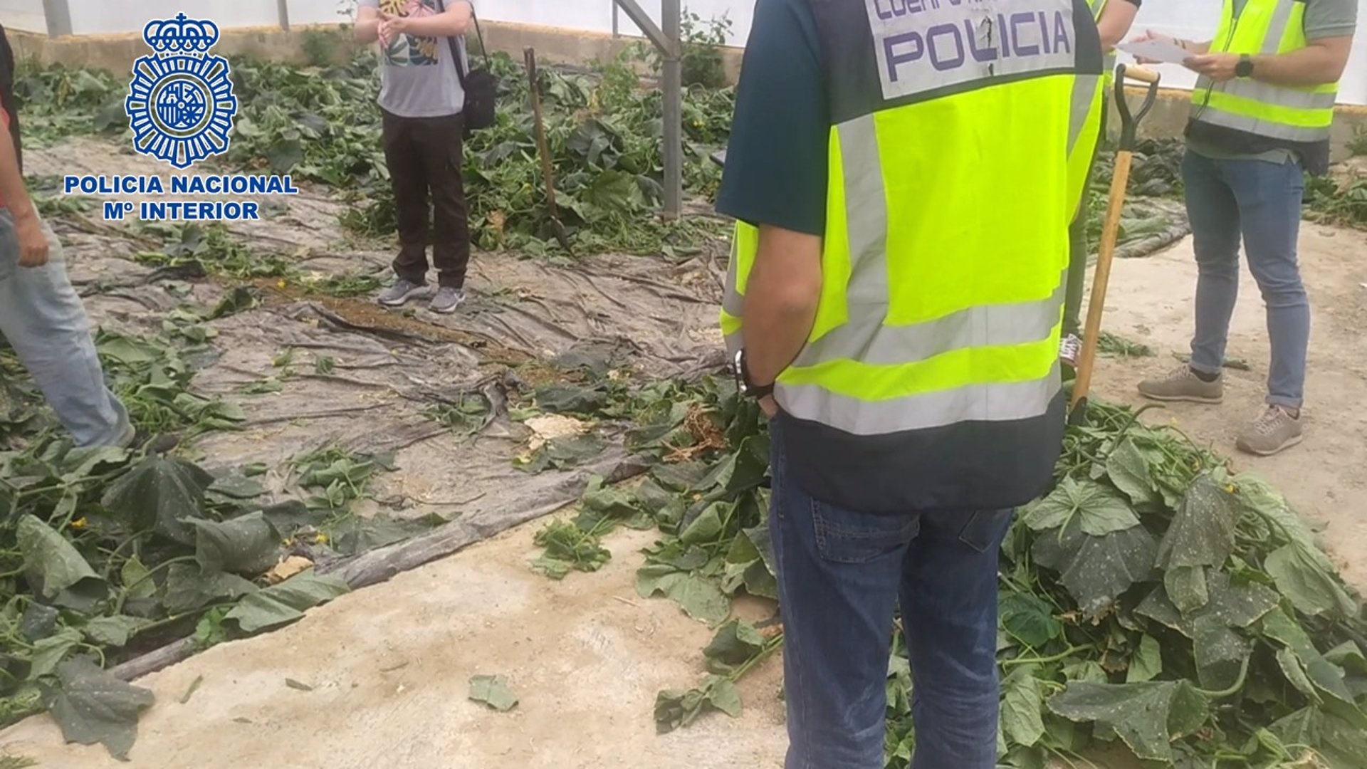 Cinco detenidos acusados de explotación laboral con empadronamientos irregulares en Loja