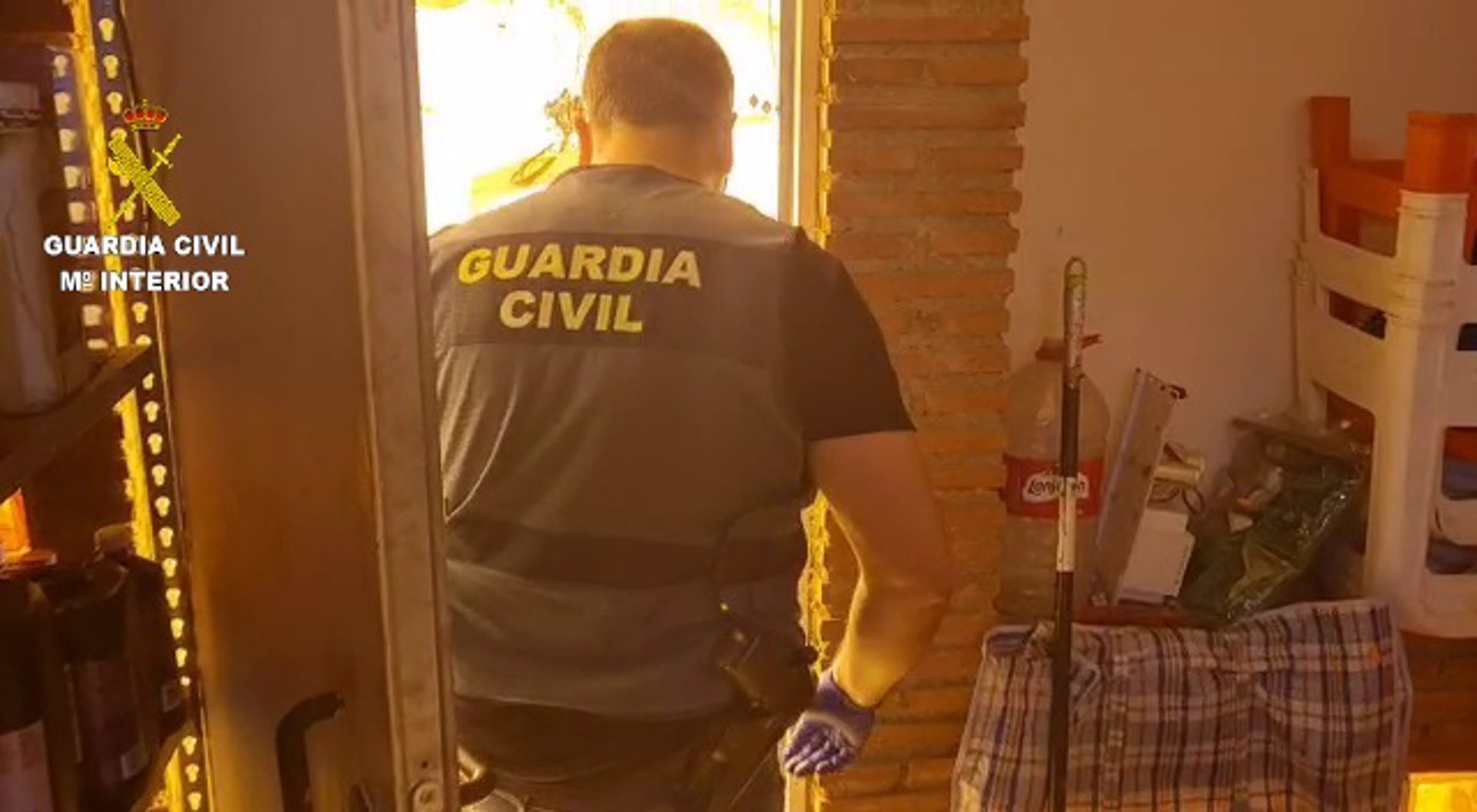 La Guardia Civil investiga a una persona por tráfico de marihuana en Caniles