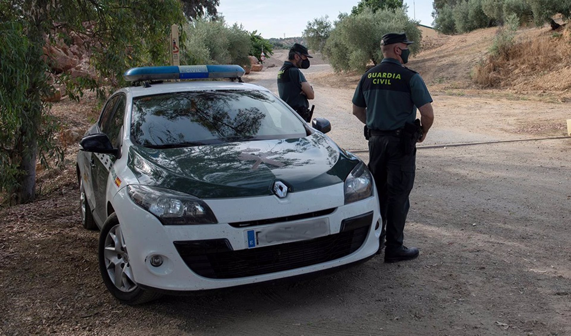 Detenido investigado por un robo con violencia de mil kilos de aceituna en Zújar