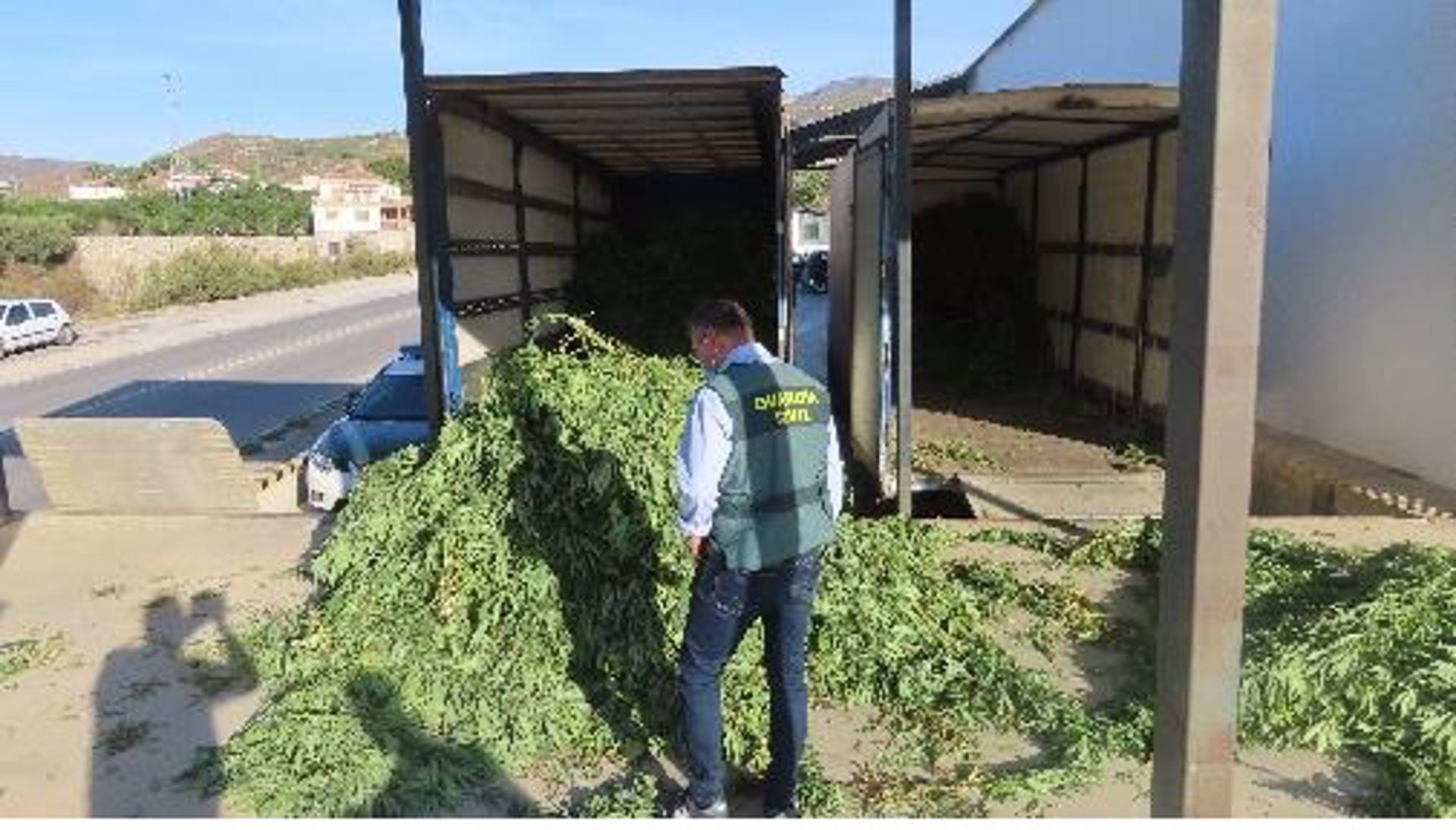 La Guardia Civil se incauta de 3.800 plantas de cannabis sativa en un almacén de Molvízar