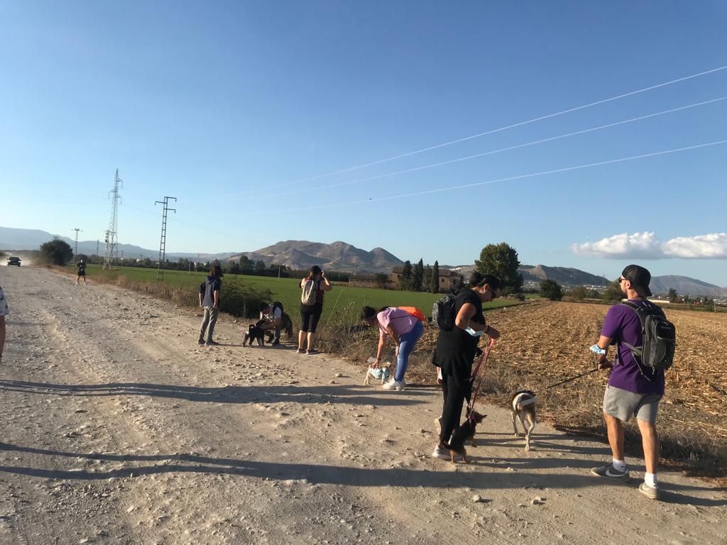 Los vecinos de Vegas del Genil pasean por la Vega junto a sus perros gracias a una ruta de senderismo
