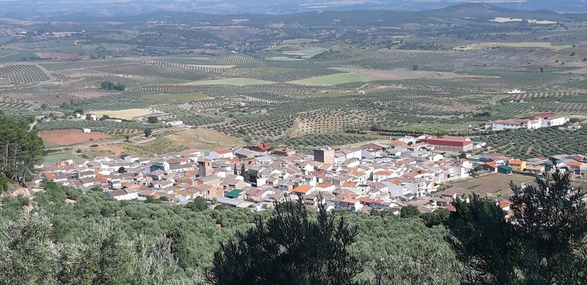Casi un millón de andaluces reside en uno de los 461 municipios libres de Covid, 46 más en una semana