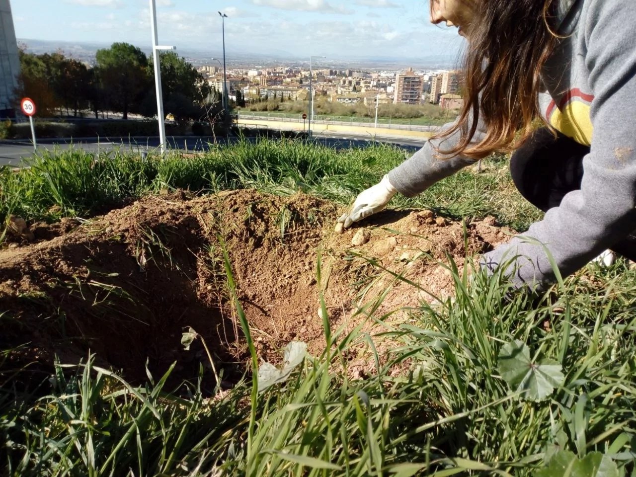 Estudiantes de la Universidad de Granada plantarán 900 árboles y arbustos contra el cambio climático