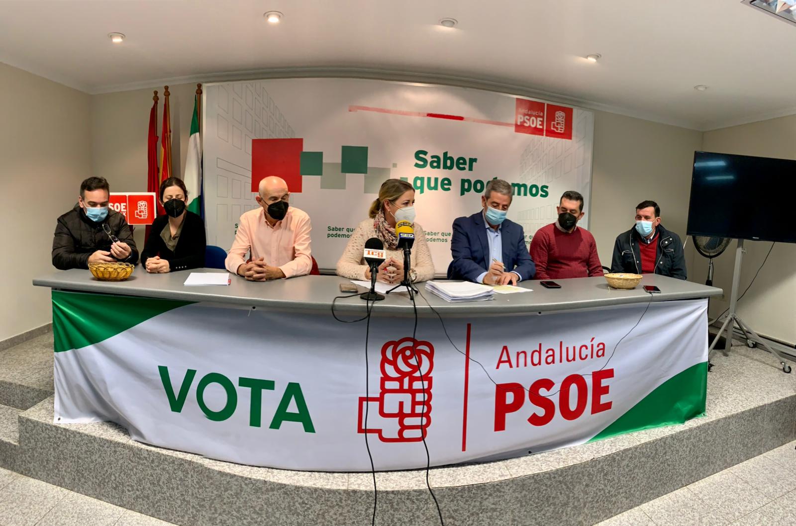 Alcaldes y portavoces socialistas de la comarca de Guadix reclaman a la Junta más médicos para el Hospital