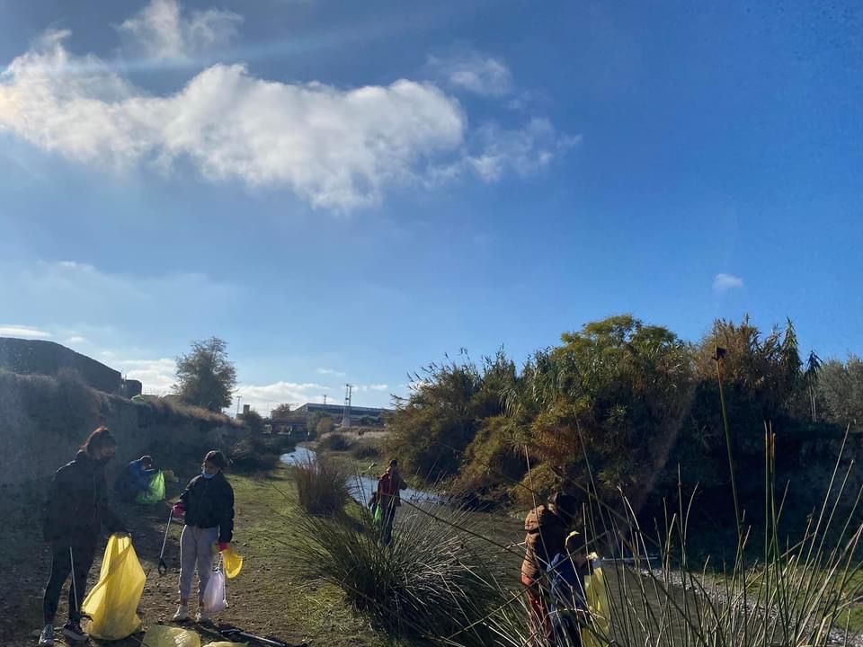 Medio centenar de vecinos de la Vega limpian el cauce del río Dílar con el objetivo de renaturalizarlo