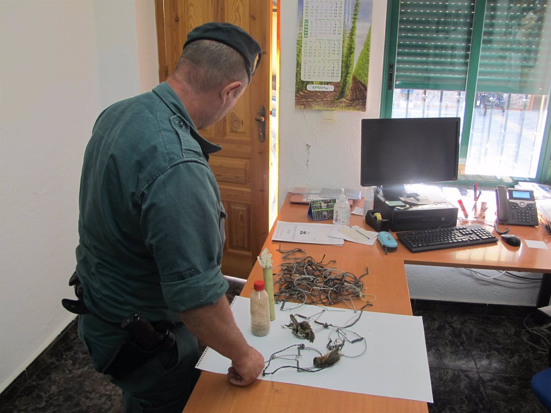 Investigados tres varones por cazar aves protegidas con artes prohibidas