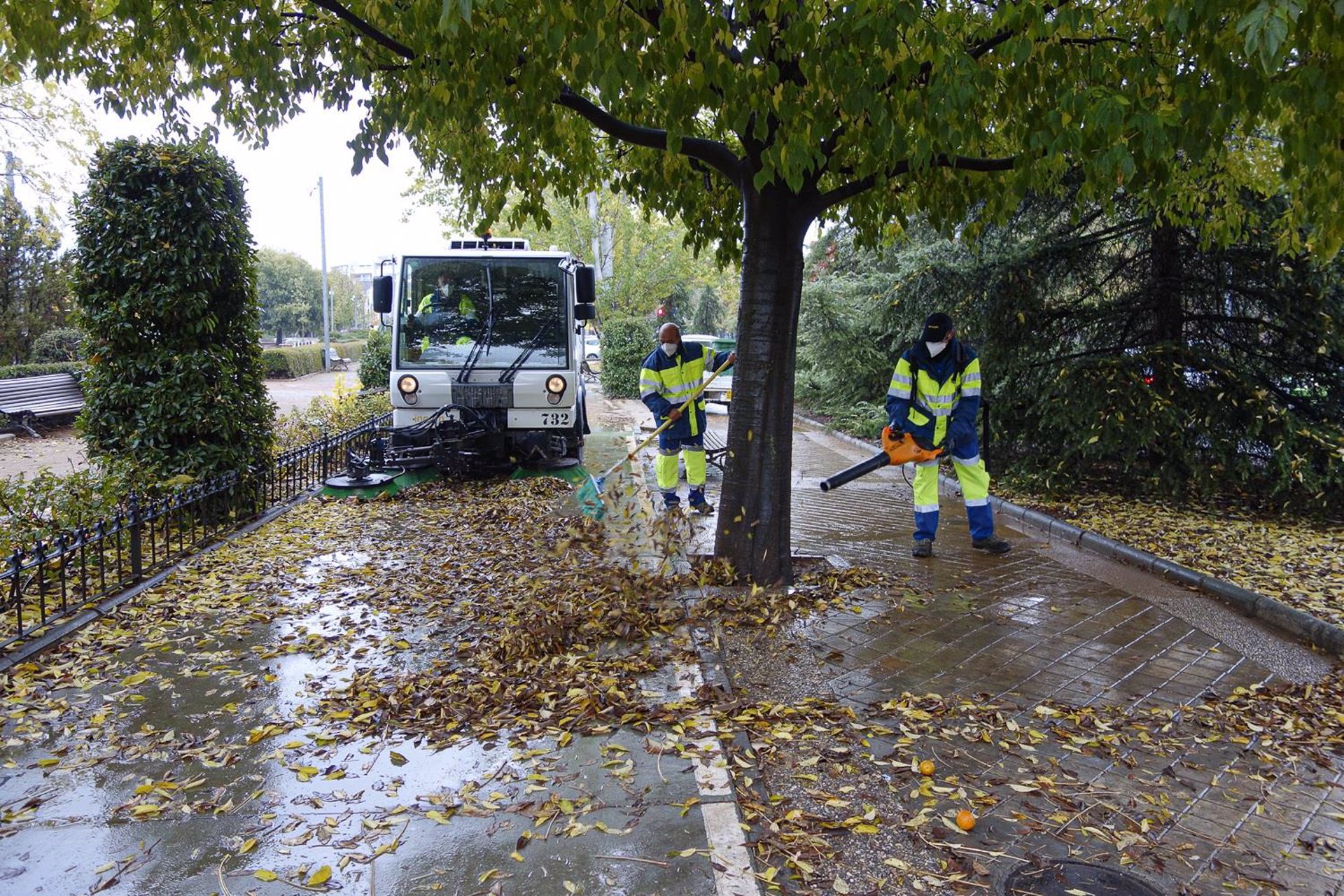 El Ayuntamiento impulsa el plan de limpieza de hojas acumuladas