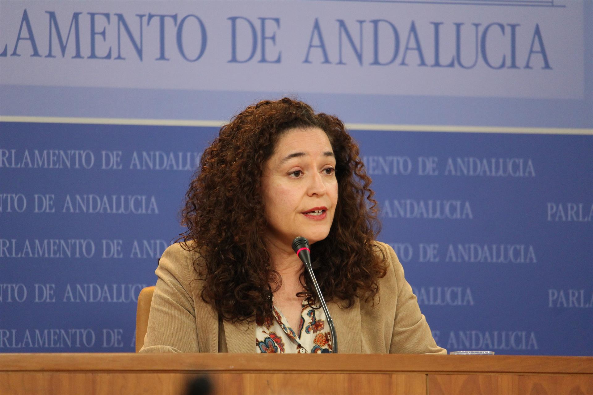 Nieto (Unidas Podemos) reprocha a PP su «indignación impostada» con sentencia de los ERE y «el foco en corrupción ajena» Nieto (Unidas Podemos) reprocha a PP su «indignación impostada» con sentencia de los ERE y «el foco en corrupción ajena»