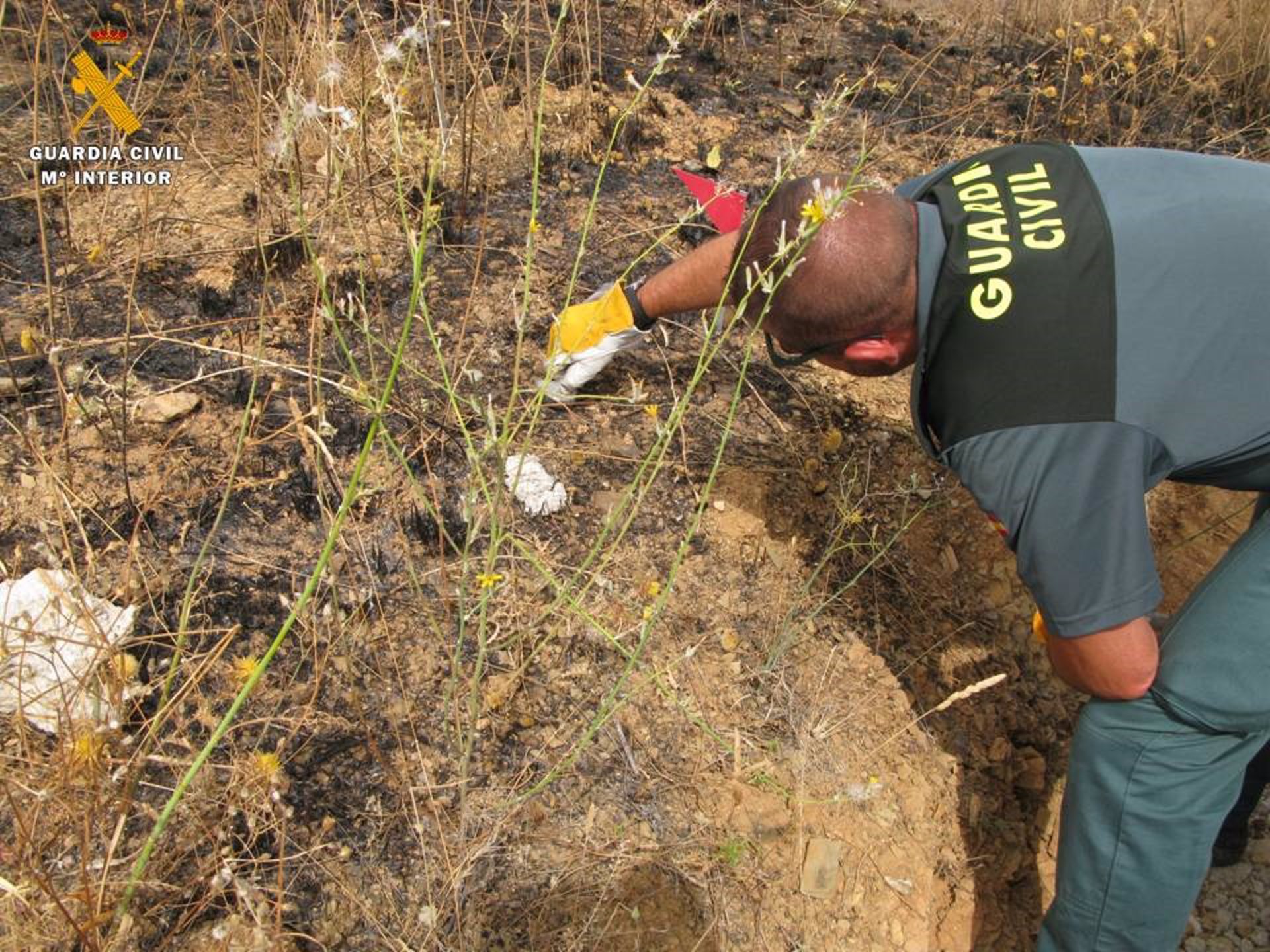 Dos agricultores investigados por incendios forestales en Ugíjar y Alicún de Ortega
