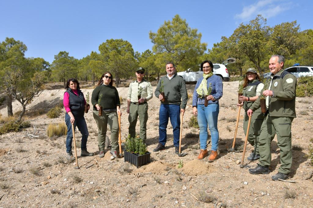 Plantan de 500 árboles por el Día de Andalucía