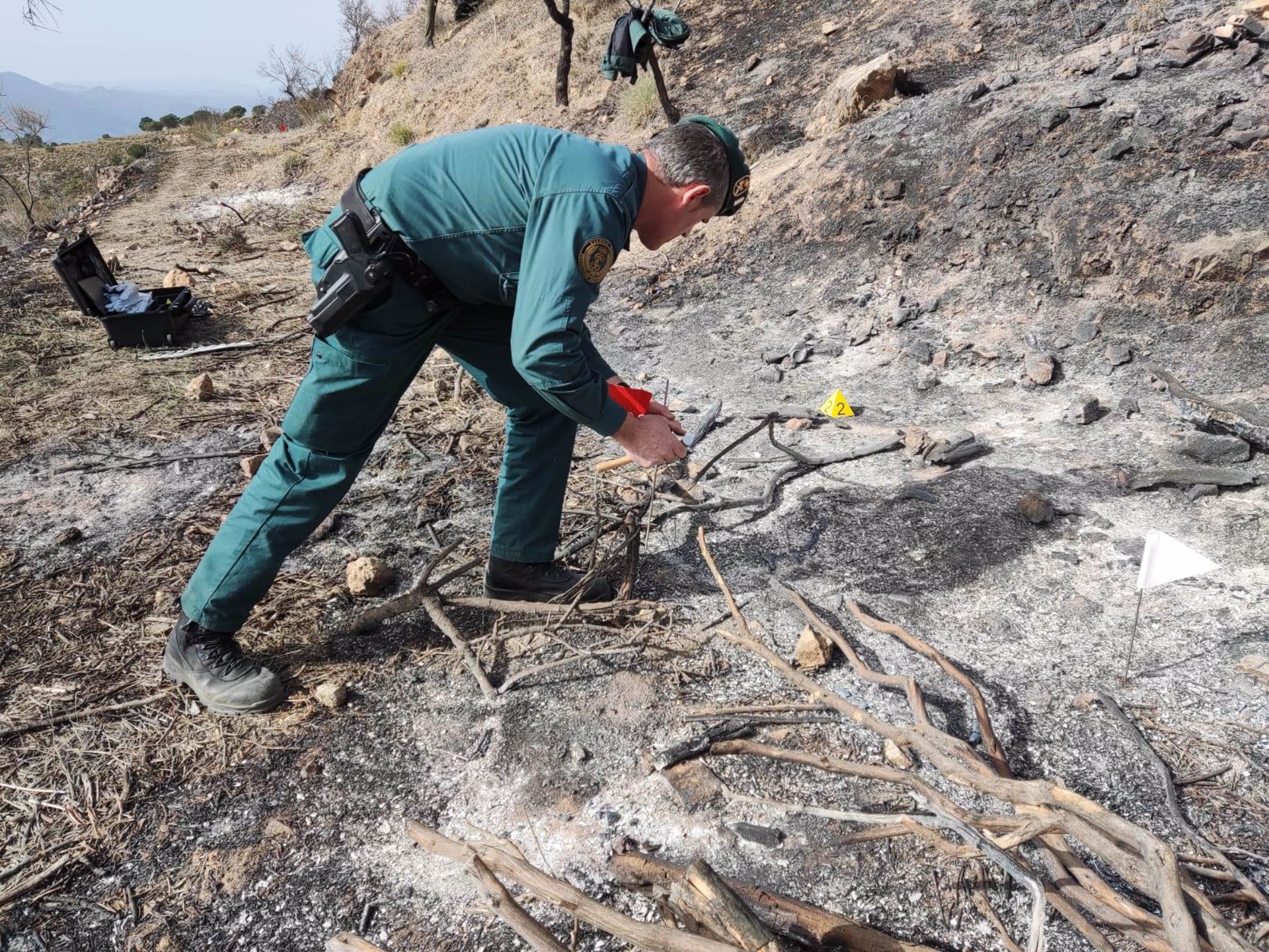 Investigados un padre y su hijo por el incendio forestal de Lecrín, que quemó unas 500 hectáreas