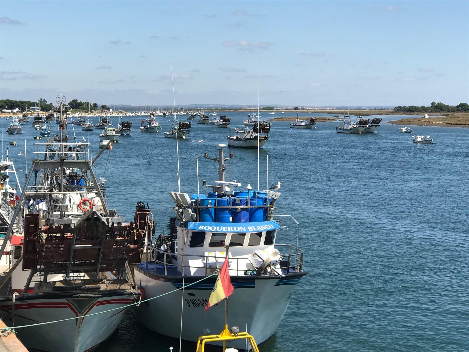 Sector pesquero andaluz se unirá a la huelga indefinida del día 21 y muestra «descontento» en la reunión con el Gobierno
