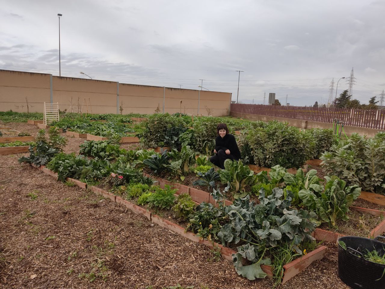 Podemos pone en valor el huerto colectivo municipal de Armilla como modelo de ocio y alimenticio saludable y sostenible